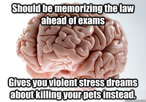 Should be memorizing the law ahead of exams Gives you violent stress dreams about killing your pets instead.  - Should be memorizing the law ahead of exams Gives you violent stress dreams about killing your pets instead.   Scumbag Brain