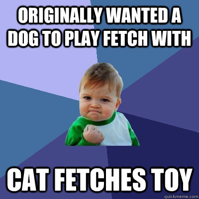 originally wanted a dog to play fetch with cat fetches toy  - originally wanted a dog to play fetch with cat fetches toy   Success Kid