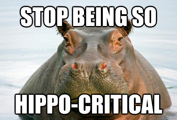 Stop being so hippo-critical - Stop being so hippo-critical  Hypocritical