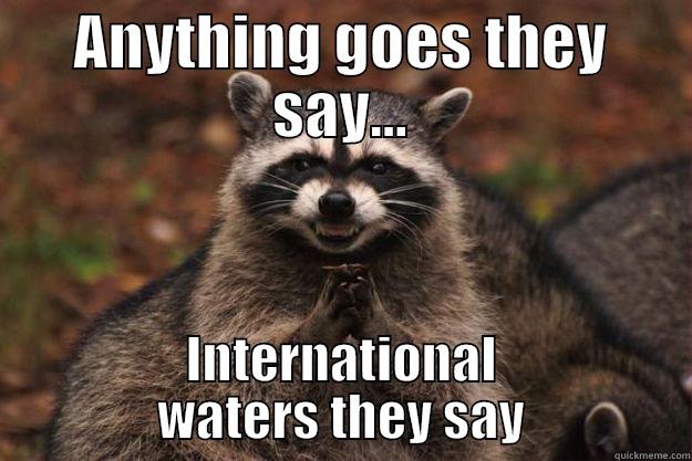 ANYTHING GOES THEY SAY... INTERNATIONAL WATERS THEY SAY Evil Plotting Raccoon