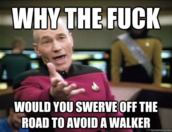 why the fuck Would you swerve off the road to avoid a walker  Annoyed Picard HD