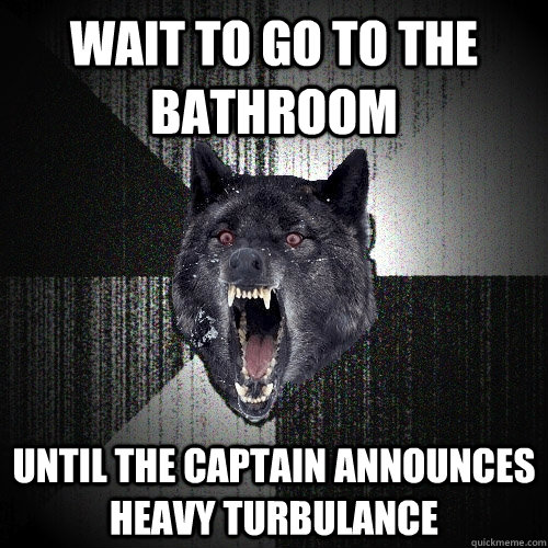 Wait to go to the bathroom until the captain announces heavy turbulance  Insanity Wolf