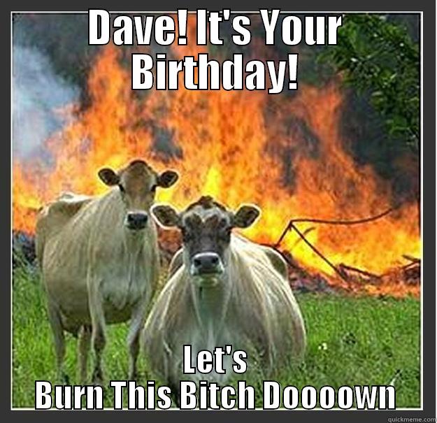 World Domination Cows Celebrate Your Birthday - DAVE! IT'S YOUR BIRTHDAY! LET'S BURN THIS BITCH DOOOOWN Evil cows