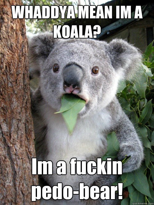 WHADDYA MEAN IM A KOALA? Im a fuckin 
pedo-bear!  koala bear