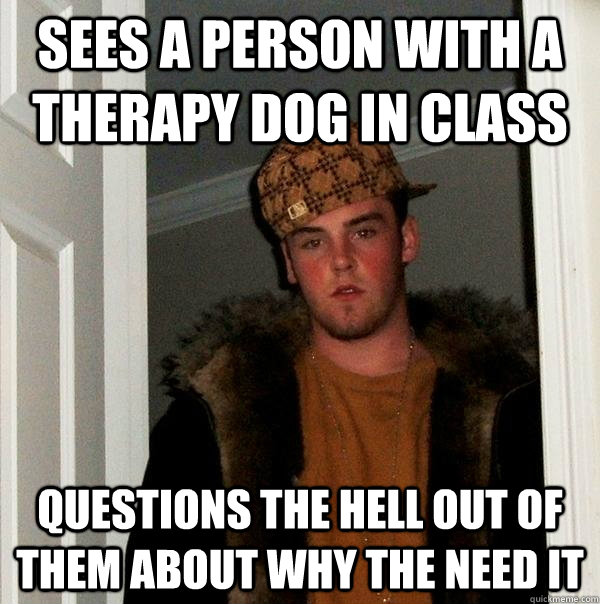 Sees a person with a therapy dog in class Questions the hell out of them about why the need it  Scumbag Steve