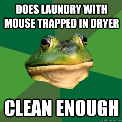 Does laundry with mouse trapped in dryer Clean enough - Does laundry with mouse trapped in dryer Clean enough  Foul Bachelor Frog