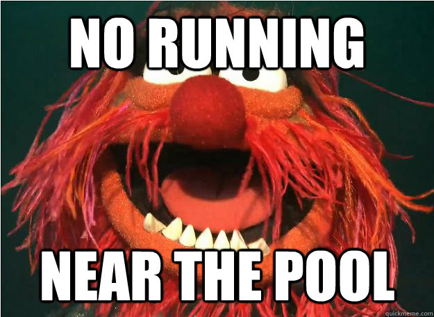 No running near the pool  Advice Animal