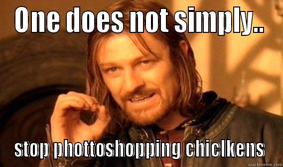 ONE DOES NOT SIMPLY.. STOP PHOTTOSHOPPING CHICLKENS One Does Not Simply