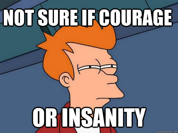 Not sure if courage or insanity  Futurama Fry