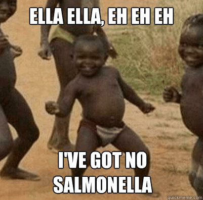 Ella ella, eh eh eh I've got no
salmonella  Third World Success Kid