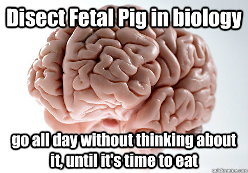 Disect Fetal Pig in biology go all day without thinking about it, until it's time to eat  - Disect Fetal Pig in biology go all day without thinking about it, until it's time to eat   Scumbag Brain