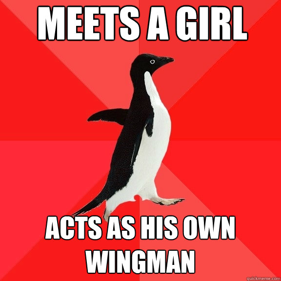 Meets a girl Acts as his own wingman  Socially Awesome Penguin