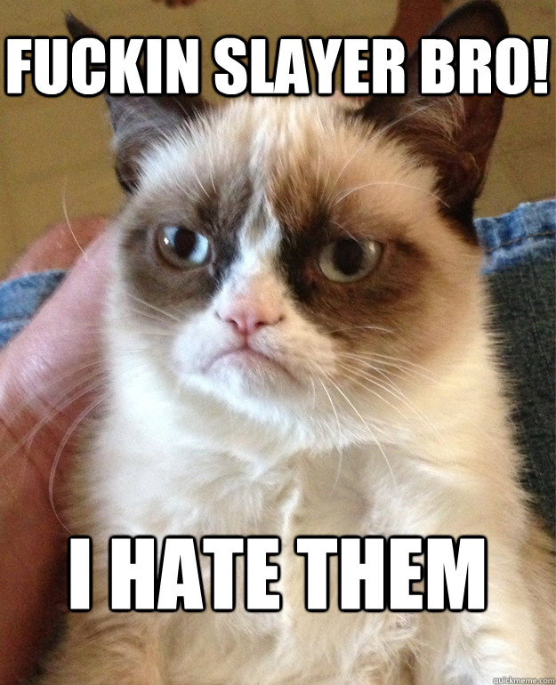 FUCKIN SLAYER BRO! I hate them  Grumpy Cat