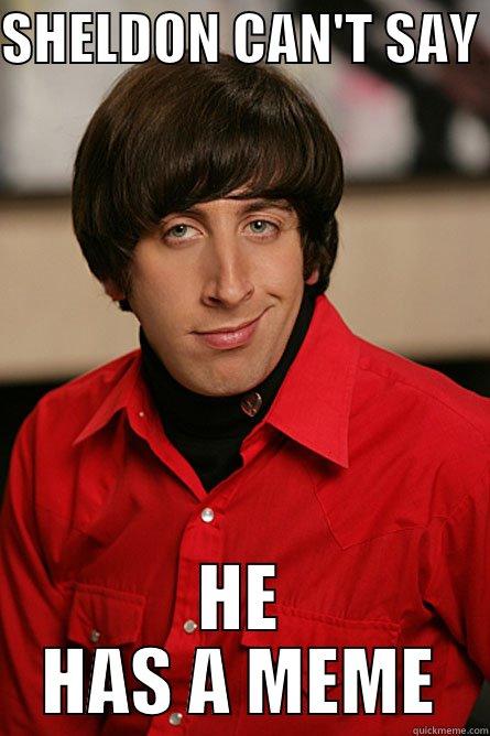 big bang theory meme - SHELDON CAN'T SAY  HE HAS A MEME Pickup Line Scientist