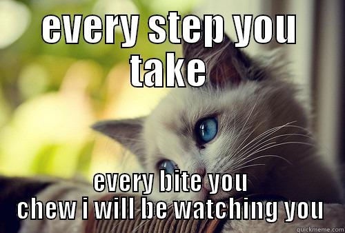 EVERY STEP YOU TAKE EVERY BITE YOU CHEW I WILL BE WATCHING YOU First World Problems Cat