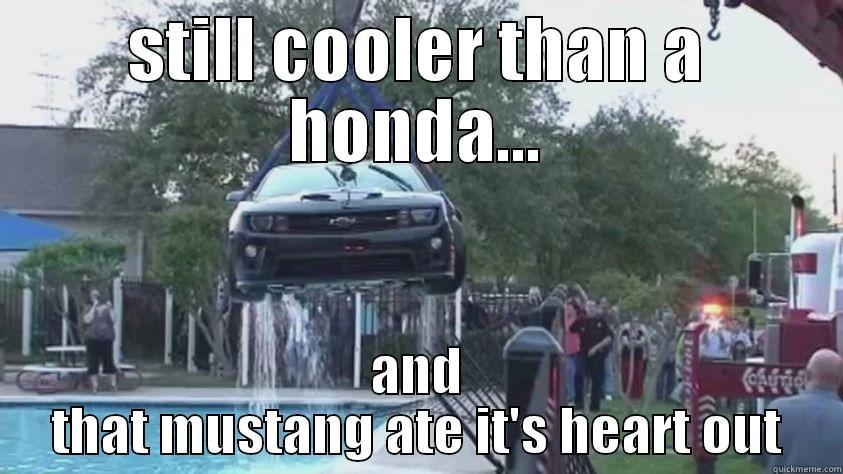 STILL COOLER THAN A HONDA... AND THAT MUSTANG ATE IT'S HEART OUT Misc