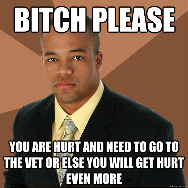 Bitch please you are hurt and need to go to the vet or else you will get hurt even more  Successful Black Man