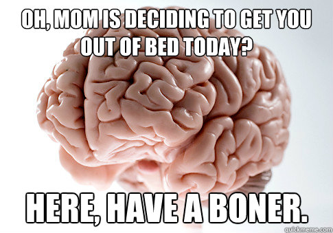 Oh, mom is deciding to get you out of bed today?
 Here, have a boner.  Scumbag Brain