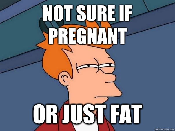 Not sure if pregnant Or just fat  Futurama Fry