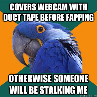 Covers webcam with duct tape before fapping Otherwise someone will be stalking me  Paranoid Parrot