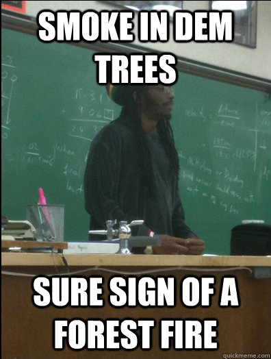 smoke in dem trees sure sign of a forest fire  Rasta Science Teacher