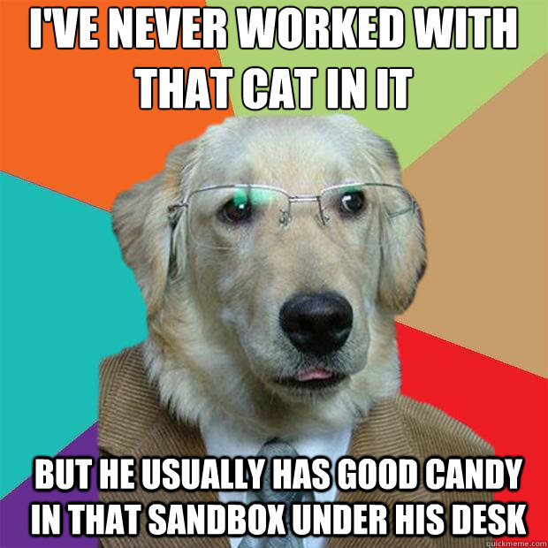 I've never worked with that cat in IT
 but he usually has good candy in that sandbox under his desk  Business Dog