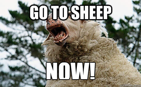 Go to sheep now! Caption 3 goes here  