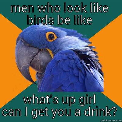 bird looking niggas - MEN WHO LOOK LIKE BIRDS BE LIKE WHAT'S UP GIRL CAN I GET YOU A DRINK? Paranoid Parrot