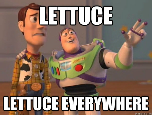 Lettuce Lettuce Everywhere  Buzz Lightyear