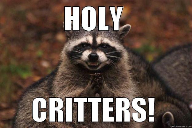 HOLY CRITTERS! Evil Plotting Raccoon