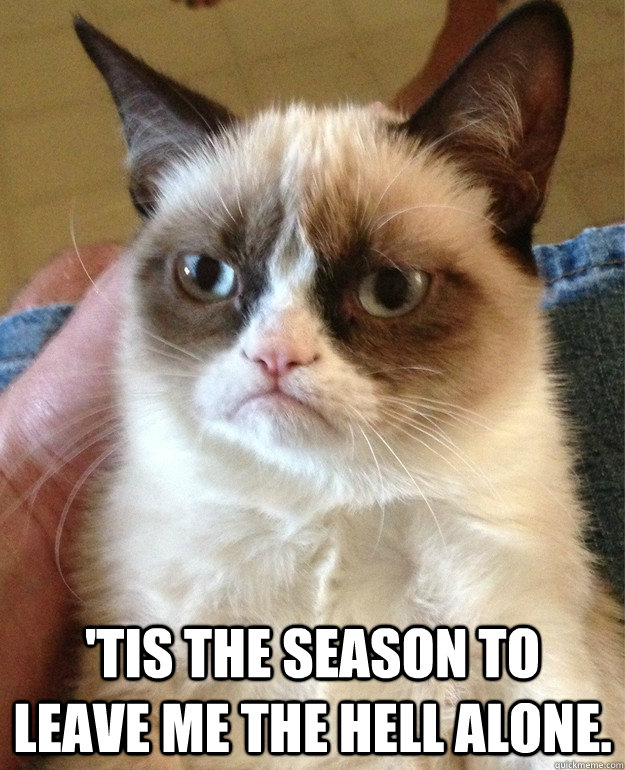 'Tis the season to leave me the hell alone.  Grumpy Cat