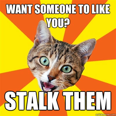 Want someone to like you? stalk them  Bad Advice Cat