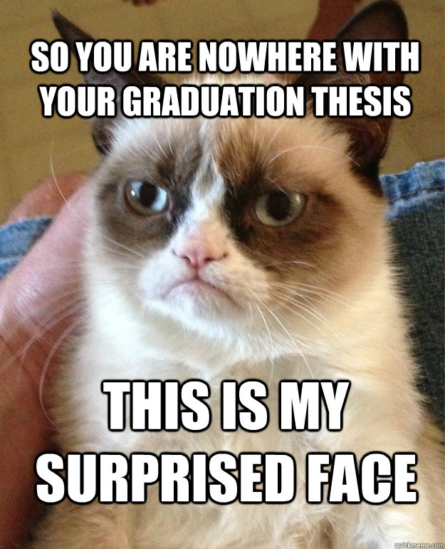 So you are nowhere with your graduation thesis This is my surprised face - So you are nowhere with your graduation thesis This is my surprised face  Grumpy Cat