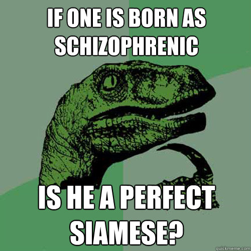 if one is born as schizophrenic is he a perfect siamese? - if one is born as schizophrenic is he a perfect siamese?  Philosoraptor