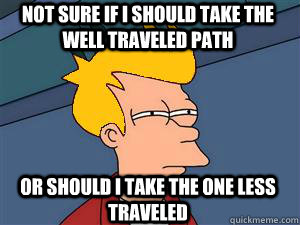 not sure if i should take the well traveled path or should i take the one less traveled - not sure if i should take the well traveled path or should i take the one less traveled  Robert Frost Fry