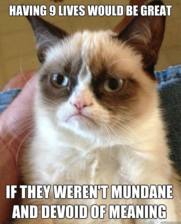 having 9 lives would be great if they weren't mundane and devoid of meaning  Grumpy Cat