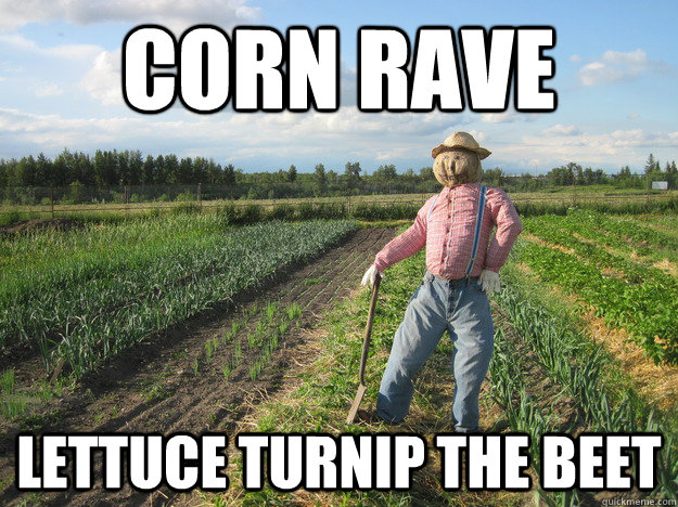 CORN RAVE Lettuce turnip The beet  Scarecrow