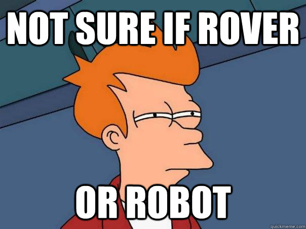 Not sure if Rover or robot  Futurama Fry