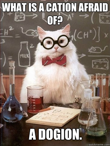 What is a cation afraid of? A dogion.  Chemistry Cat