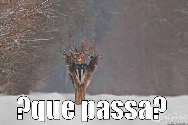 que passa -  ?QUE PASSA? Misc