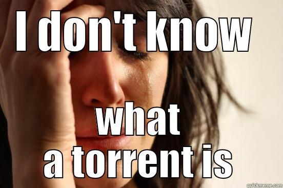 I Don't Know - I DON'T KNOW  WHAT A TORRENT IS First World Problems