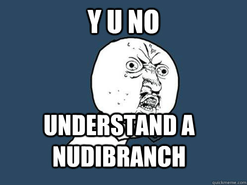 Y U No UNDERSTAND A NUDIBRANCH  Y U No