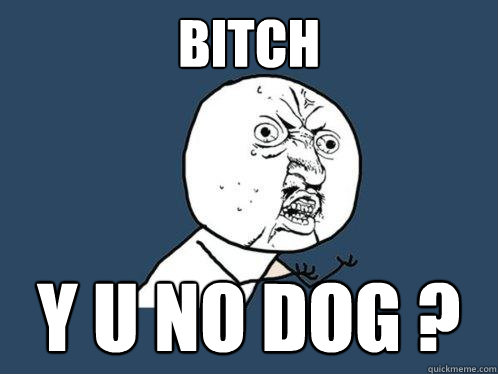 BITCH y u no dog ?  Y U No