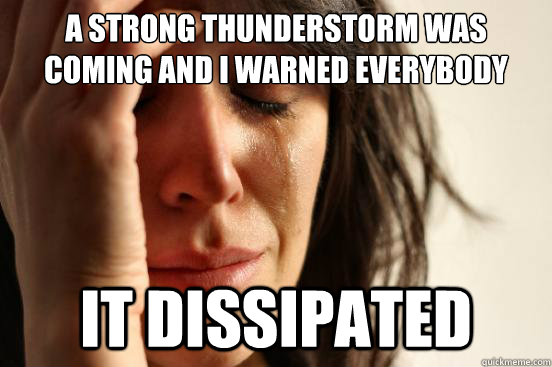 A strong thunderstorm was coming and i warned everybody It dissipated  - A strong thunderstorm was coming and i warned everybody It dissipated   First World Problems