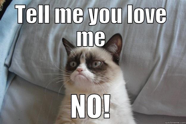 Love's lost - TELL ME YOU LOVE ME NO! Grumpy Cat