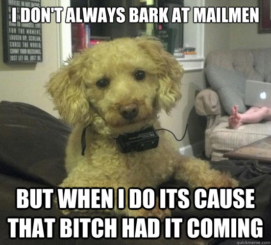 I don't always bark at mailmen BUT WHEN I DO ITS CAUSE THAT BITCH HAD It COMING - I don't always bark at mailmen BUT WHEN I DO ITS CAUSE THAT BITCH HAD It COMING  Misc