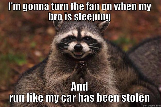 I'M GONNA TURN THE FAN ON WHEN MY BRO IS SLEEPING AND RUN LIKE MY CAR HAS BEEN STOLEN Evil Plotting Raccoon