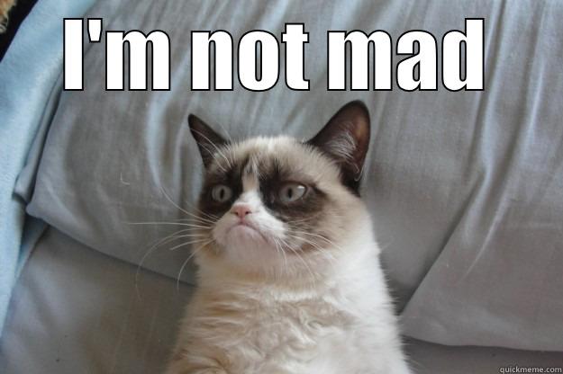 I'm not mad. - I'M NOT MAD  Grumpy Cat