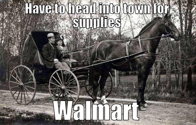 Horse and Carriage Couple - HAVE TO HEAD INTO TOWN FOR SUPPLIES WALMART Misc