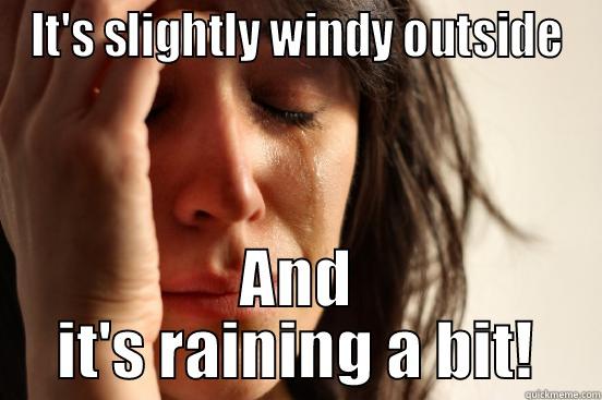 IT'S SLIGHTLY WINDY OUTSIDE AND IT'S RAINING A BIT! First World Problems